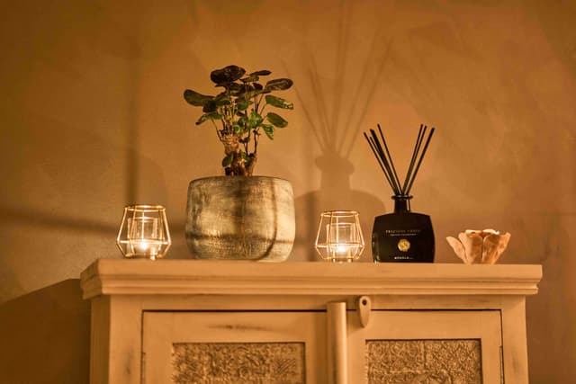 Masážní salon Studio Bonsai, Brno - fotka 3