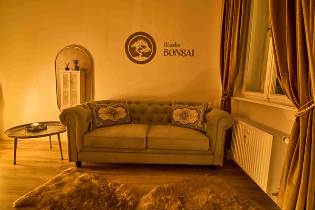 Masážní salon Studio Bonsai, Brno - fotka 6