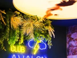 Profilový obrázek Avalon club
