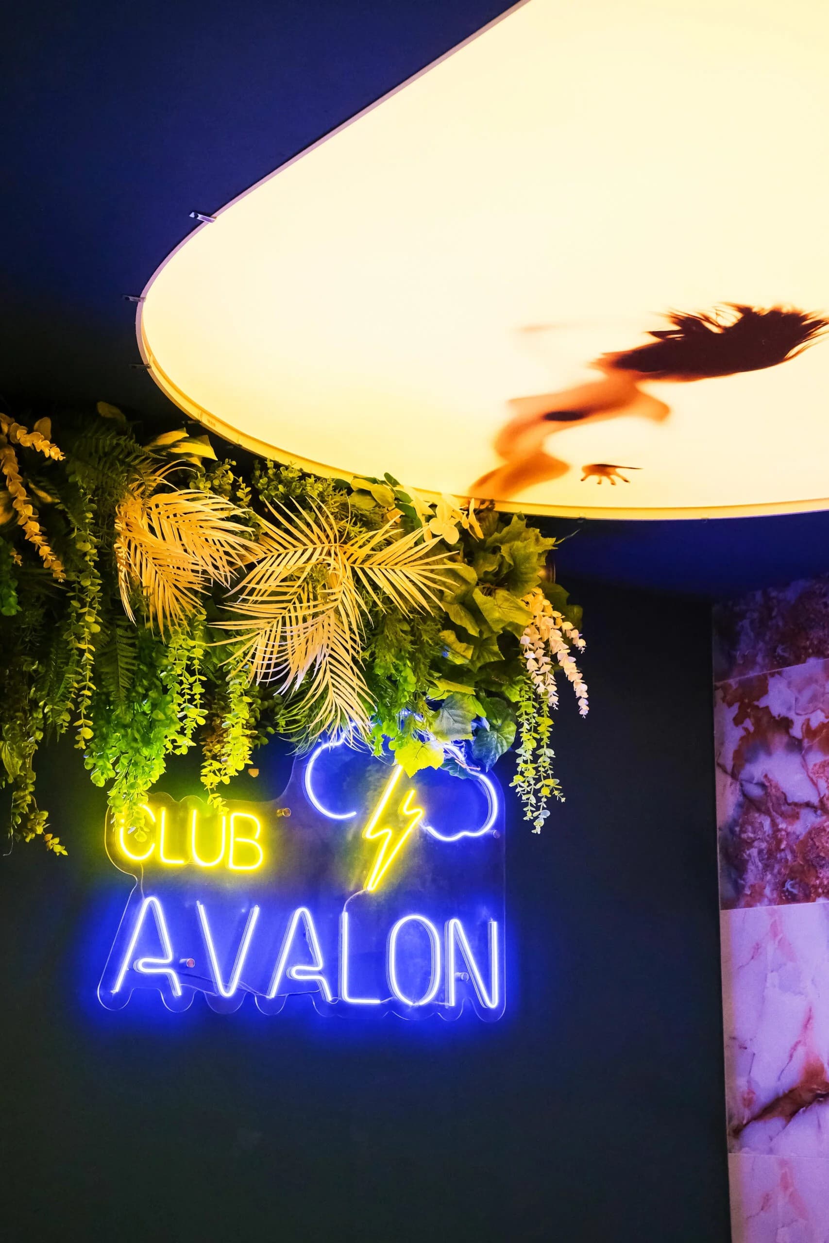 Avalon club - Erotické masáže - Praha 2