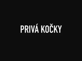 Profilový obrázek Relax for boy