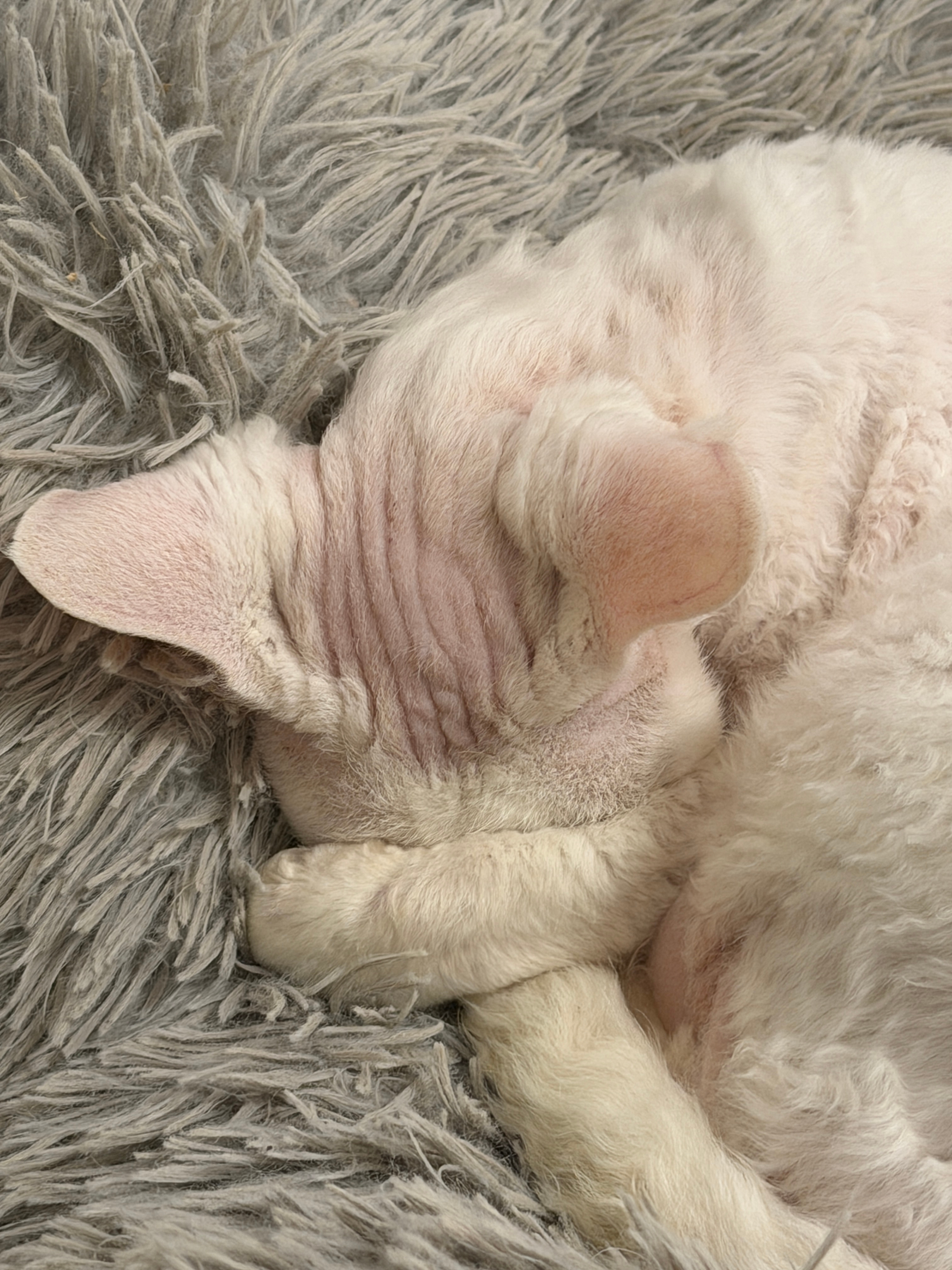 Profilový obrázek Petr